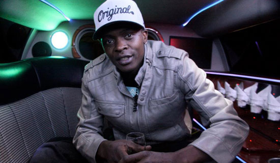 JOSE CHAMELEONE
