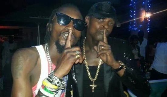 Radio and Weasel