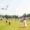 Kite Festival