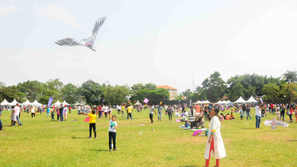Kite Festival