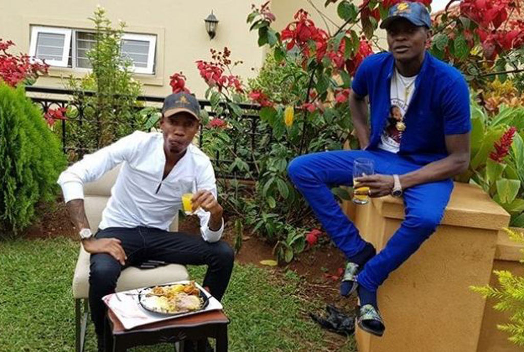 Bryan White Chameleone