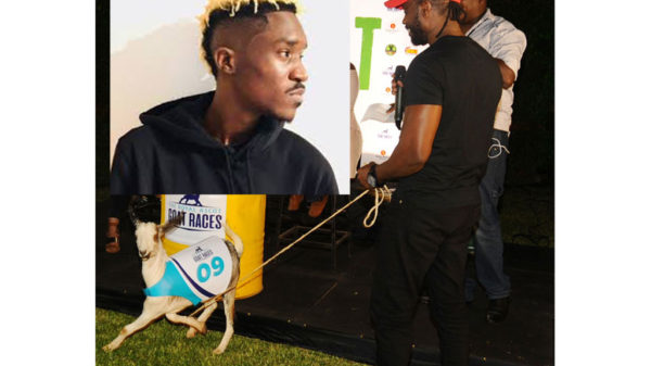 Bebe cool a pass goat